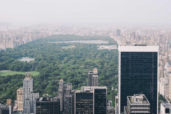Building Your Kingdom: Financial Dominance Done Right